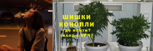 apvp Валдай