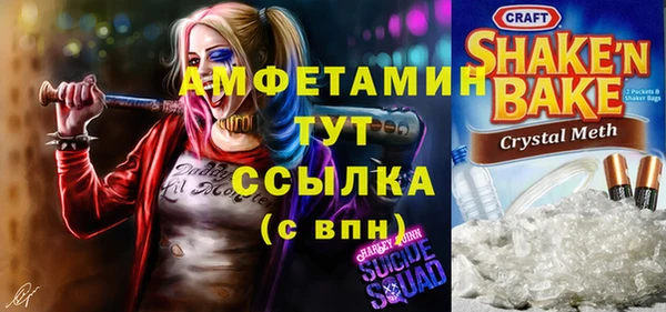 твердый Мегион