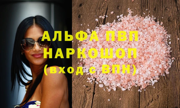 прущие грибы Дмитровск