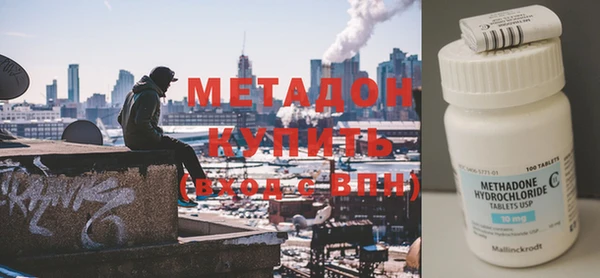 прущие грибы Дмитриев